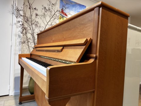 Schimmel piano 120ke elzen 10