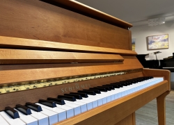 schimmel piano 120ke elzen 7