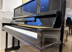 steingraeber piano concert 124 128cm zwart 12