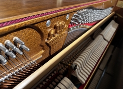 steingraeber sohne piano 122 zwart gebruik 7